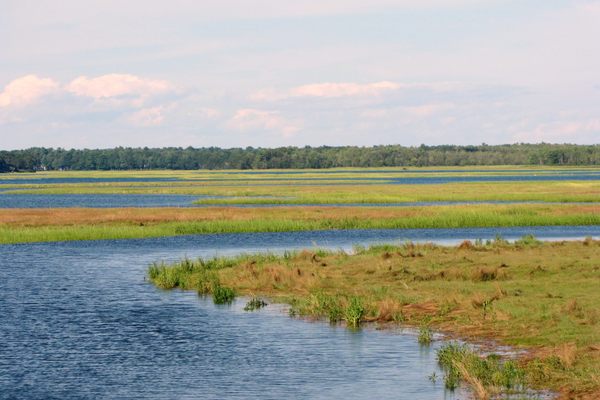 Scarborough Marsh covers over 3,000 acres.