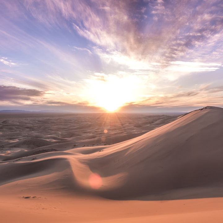 Khongor sand dunes.