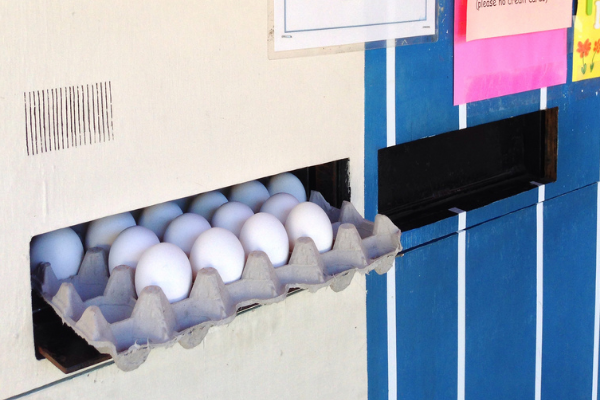 Vending machine at Glaum Egg Ranch
