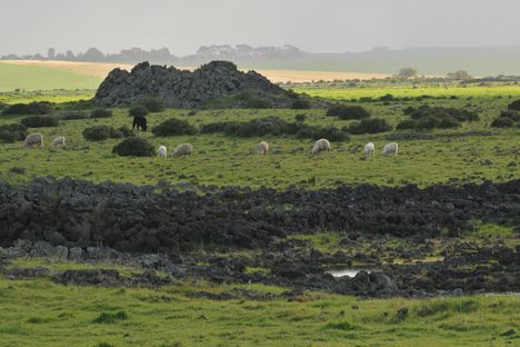 Tumuli near Byaduk