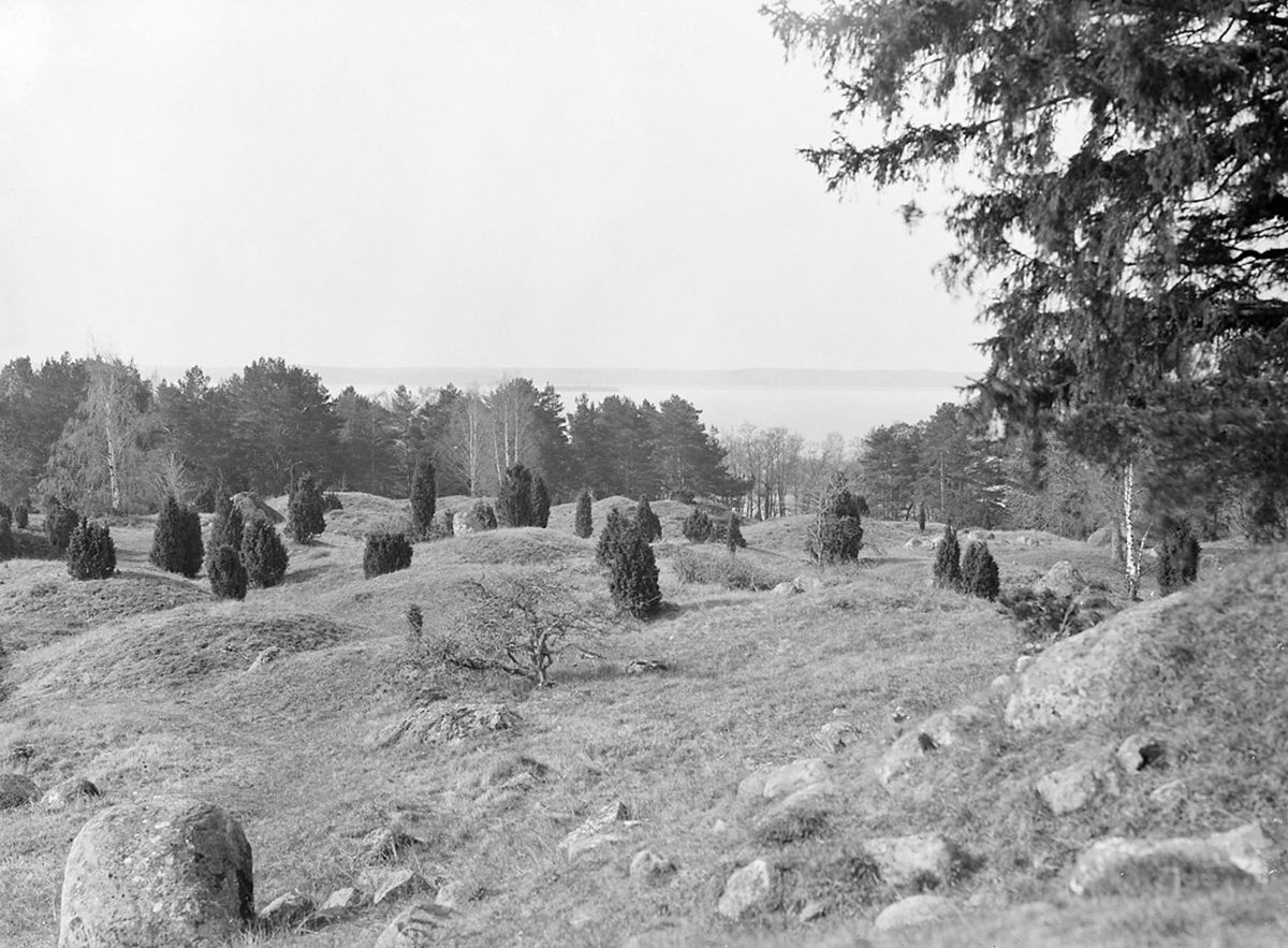 By the time Hjalmar Stolpe excavated Bj 581, he had become adept at recognizing where graves could be found in the hummocky Birka landscape.