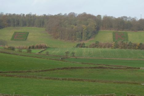 The patriotic plantations.