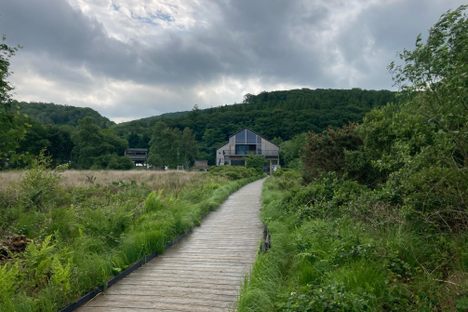Cors Dyfi