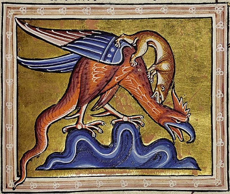 <em>A Weasel Combating a Basilisk</em>, Folio 79, <em>Bestiary of the Second Family</em>, also known as <em>The Ashmole Beastiary</em>, Peterborough Abbey or Canterbury Abbey, c. 1200–10.
