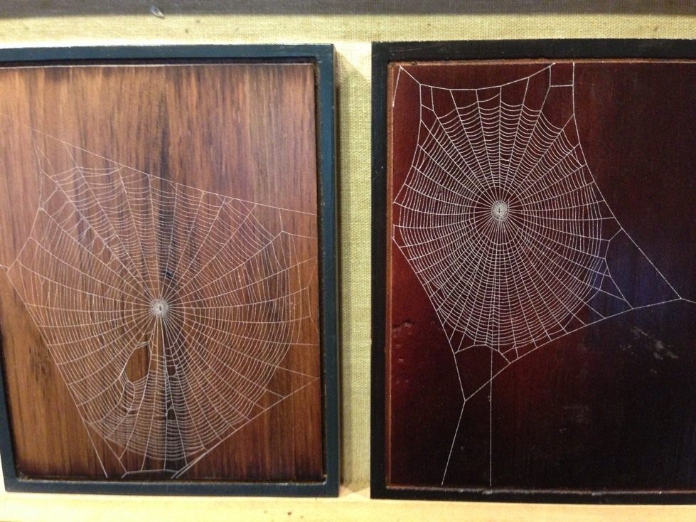 Framed Spiderweb