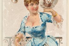 Pigeons were included in a series of 1891 illustrations entitled “Household Pets.”