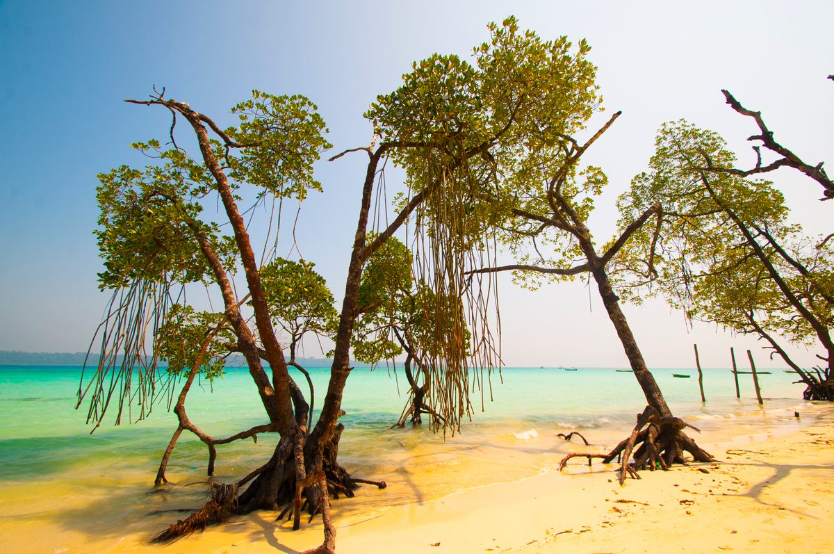 Havelock Island, Andaman and Nicobar, India.
