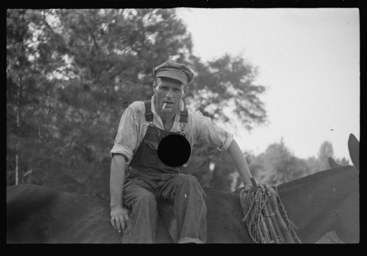 <em>Untitled, Floyd Burroughs, on mule, Hale County, Alabama.</em>