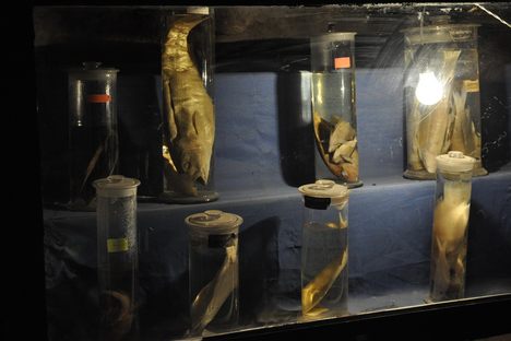 The Aquarium Grotto Garden