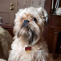 Profile image for tealovinglady
