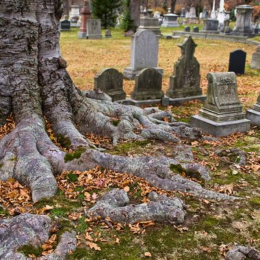 Forest Hills Cemetery