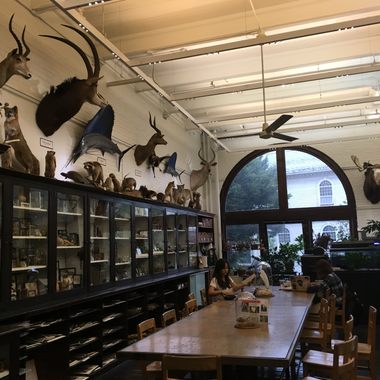 The Edna Lawrence Nature Lab.