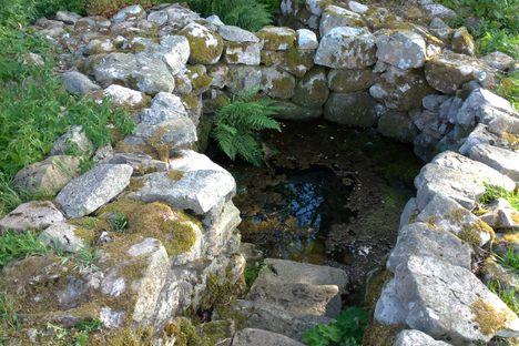 Sankt Olof Holy Springs