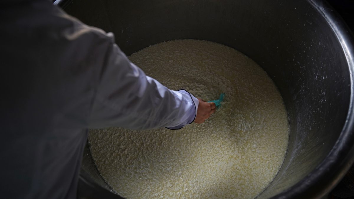 Meema Gursi and Amna Khatana process the milk.