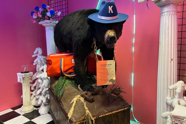 Cocaine Bear in Kentucky for Kentucky