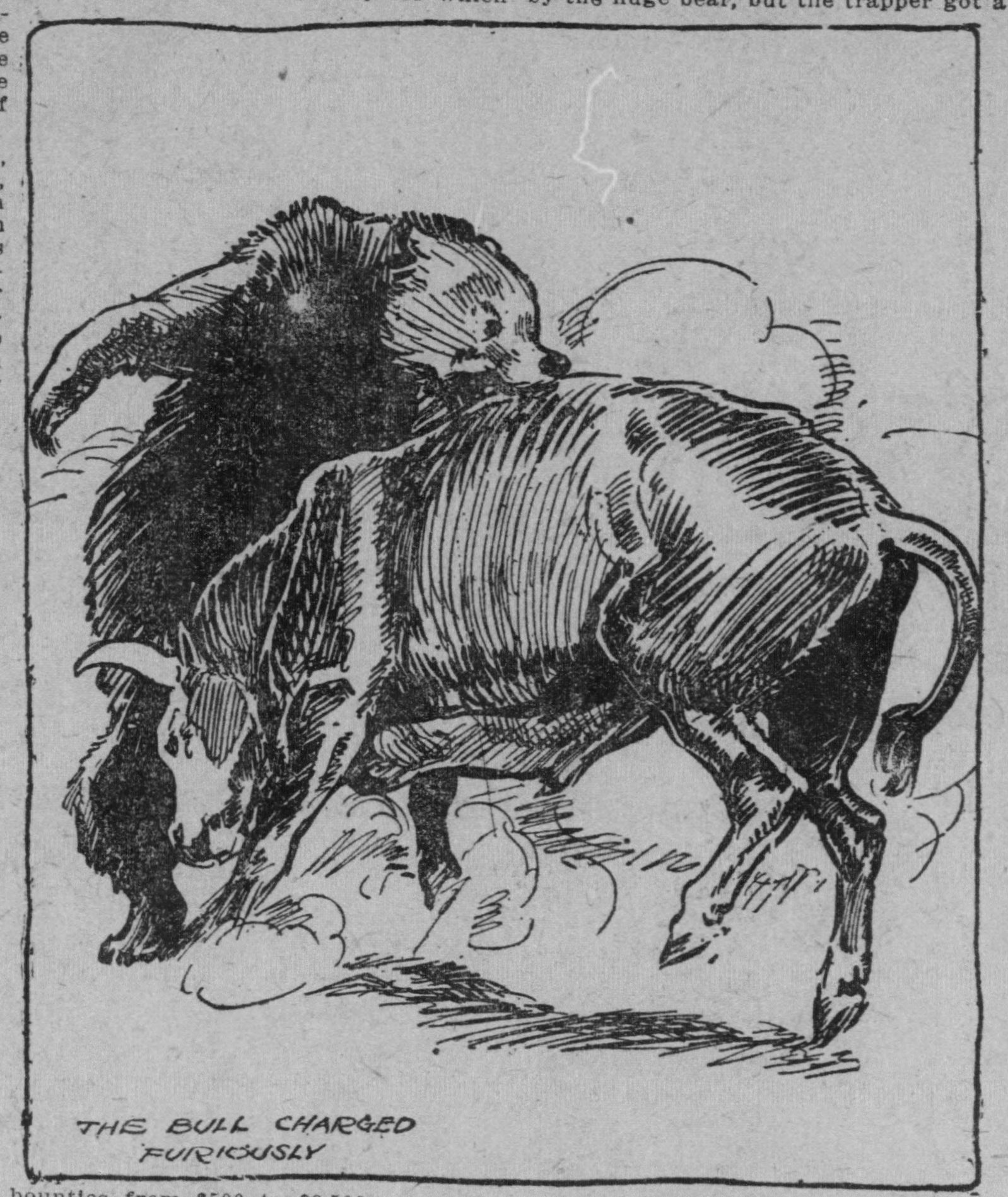 The Brutal Bull-and-Bear Fights of 19th-Century California - Atlas