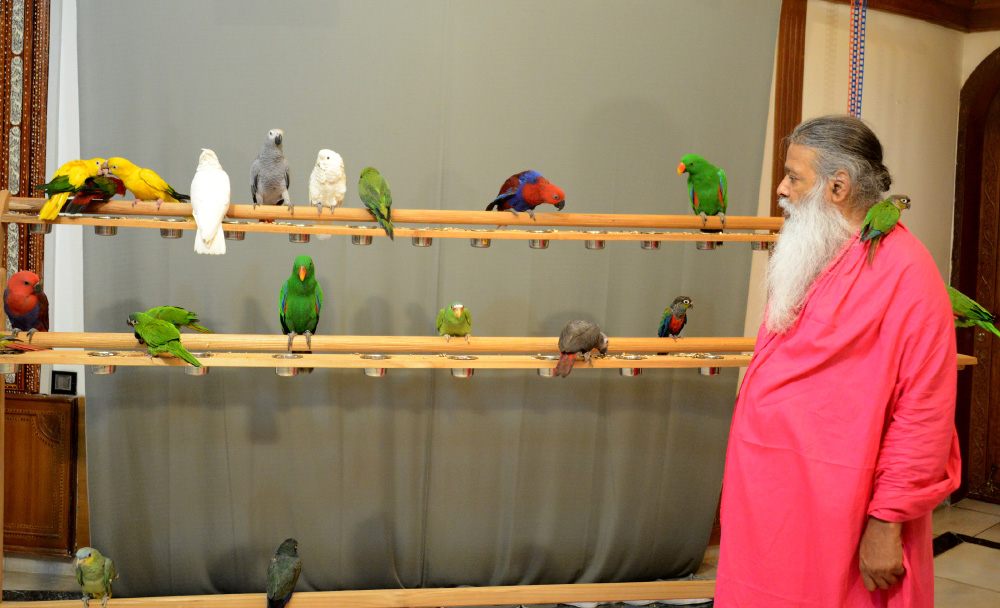 Dr. Sri. Ganapathy Sachchidananda Swamiji with a variety of the birds at Shuka Vana. 