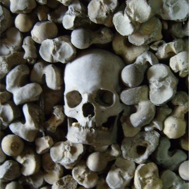 Skull and bones in the crypt