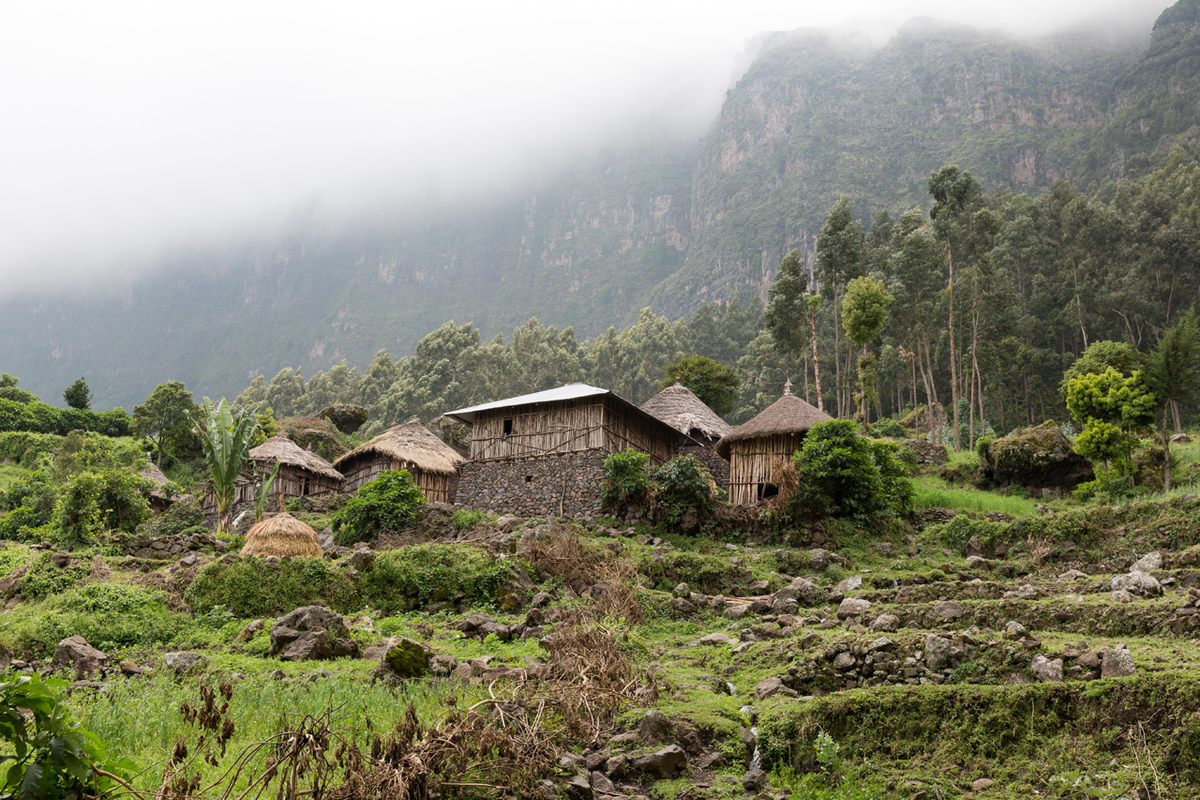 A typical homestead in the North Shewa region of the Ethiopian highlands.