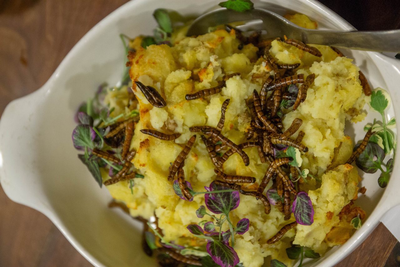 Garlic smashed potatoes with superworms.