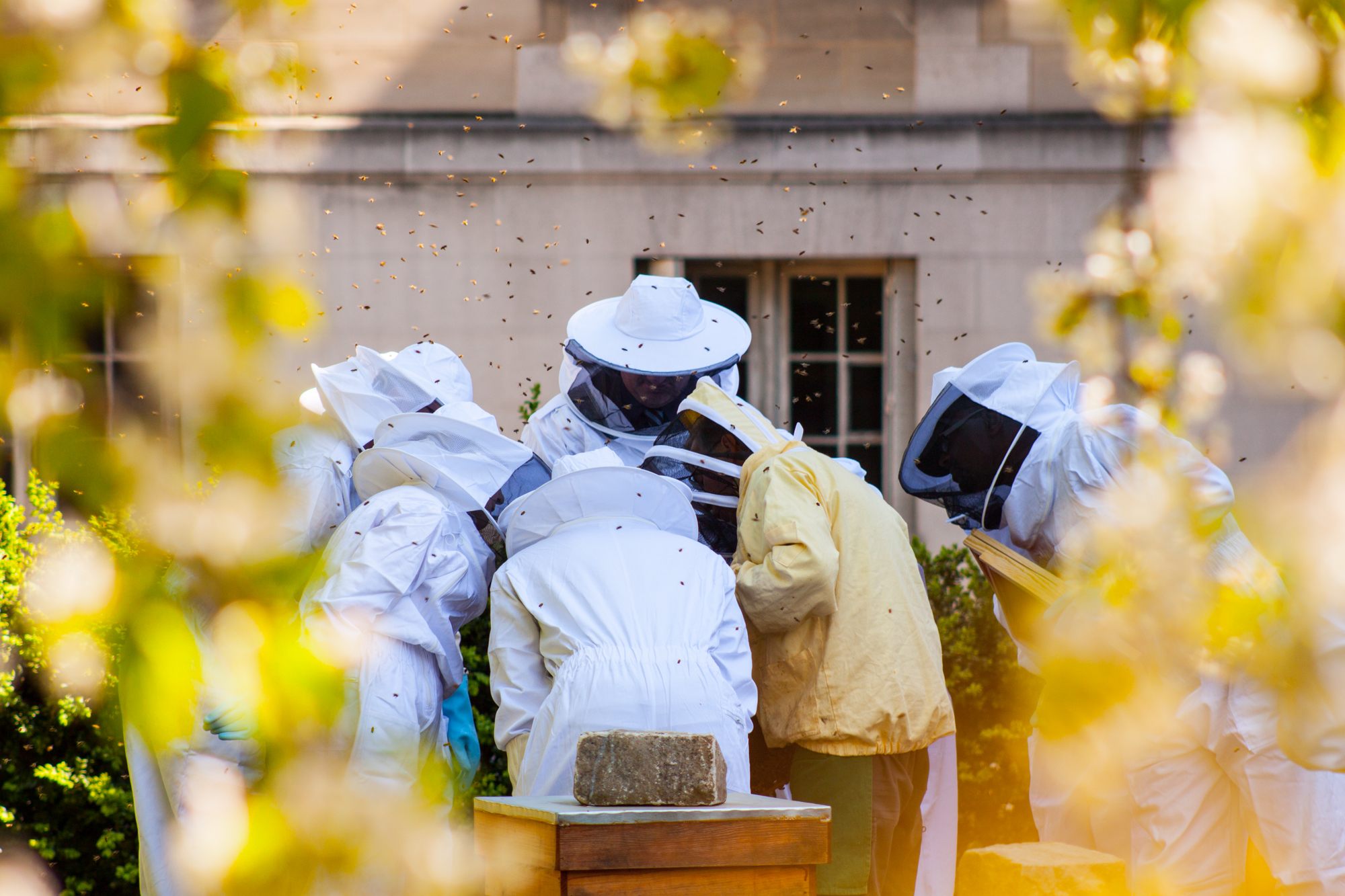 Beekeepers at the Cité Internationale Universitaire de Paris.