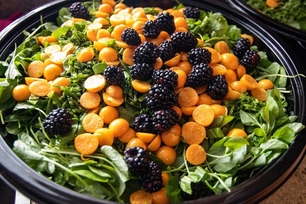 Foraging still accounts for many of the ingredients used at Café Ohlone.