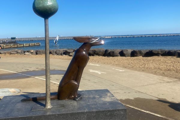 ‘Summertime’ Dog Sculpture