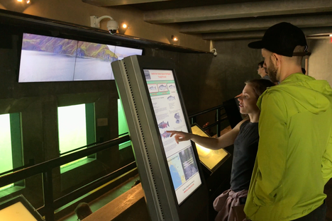 Recently installed video wall and touch screen provide information on salmon