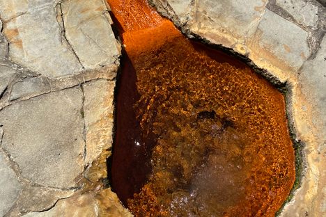 The natural hot spring. 