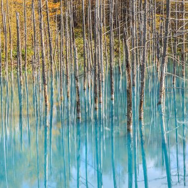 Blue Pond