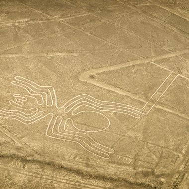 The Spider (Nazca Lines)