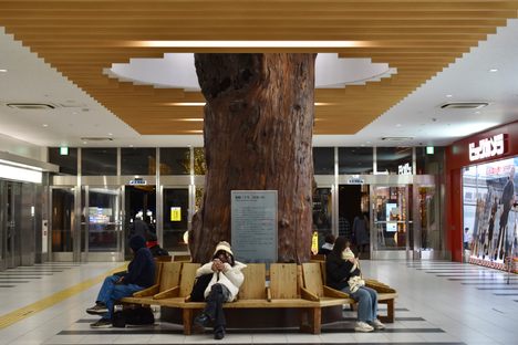 The “Deai-sugi” cedar tree still stands at Kagoshima Central Station.