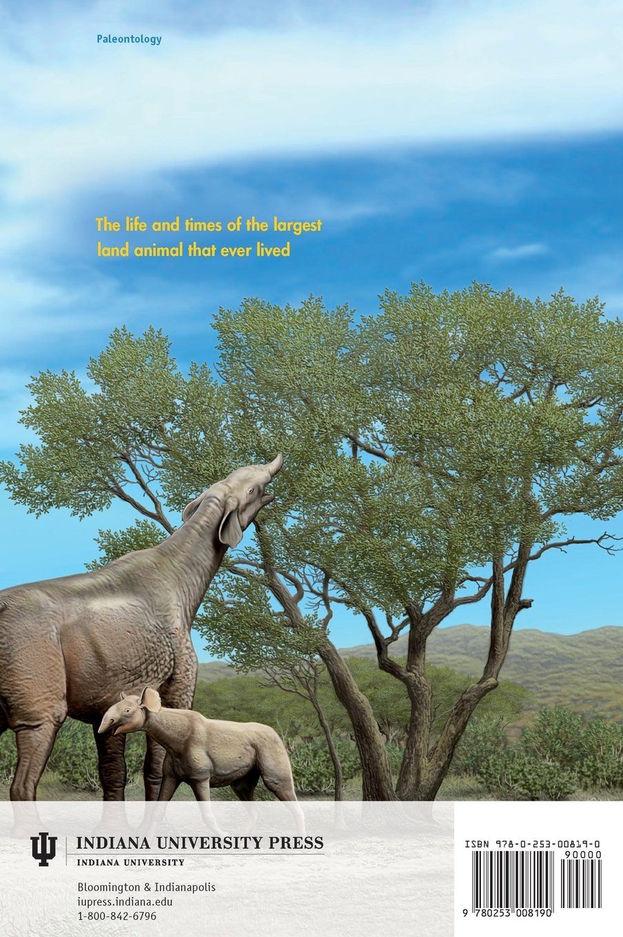 The back cover of Prothero's book shows <em>Paraceratherium</em> with short trunks and large ears.