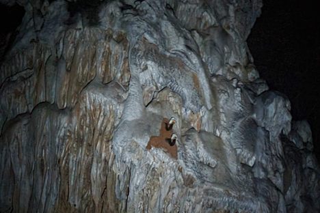 German electrical junction affixed to a stalagmite which previously fed power to the pump.