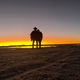 vagabondcouple profile photo