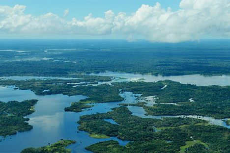 Aerial view of the Amazon Rainforest, near Manaus, the capital of the Brazilian state of Amazonas.