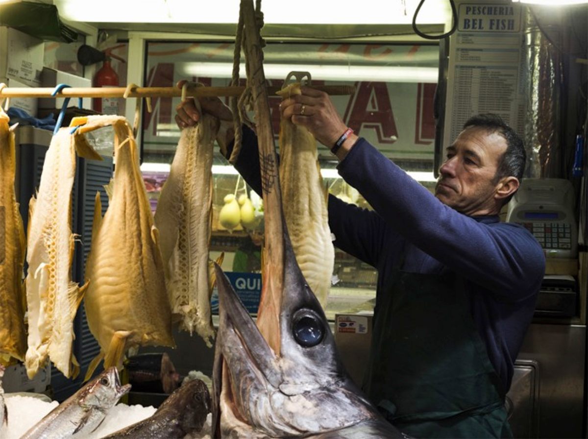 Dried Stockfish / Stockfish Cod From Norway by Spinel Company