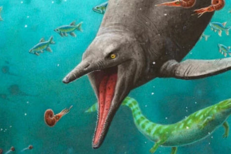 This Arctic Ichthyosaur Should Not Exist