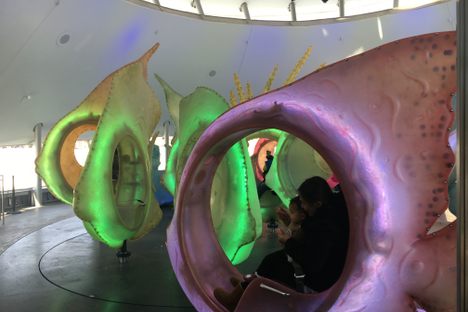 Ride a fish at the original site of the New York Aquarium.