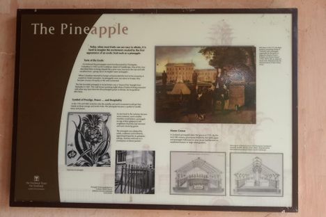 The Dunmore Pineapple House