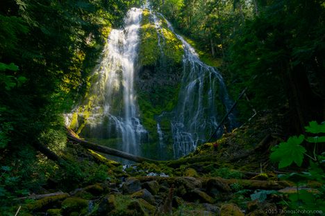 Proxy Falls (technically, Lower Proxy Falls)