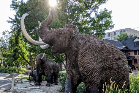 Family of mammoth replicas.