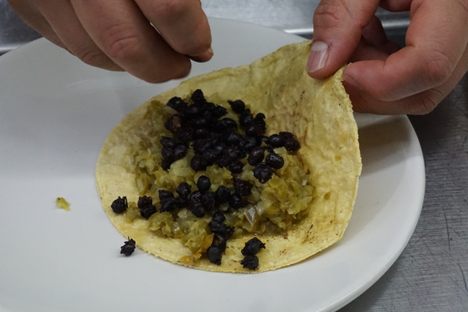 Chicatanas