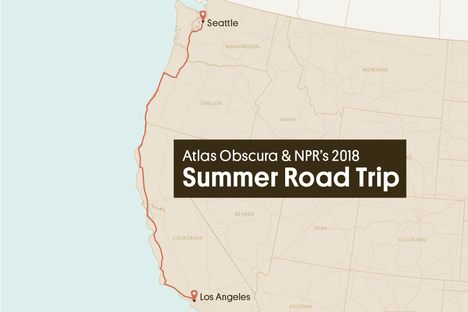 Looking for wonder on the left coast. 