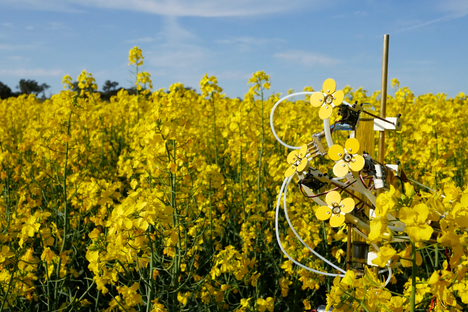 Making Art for Bees