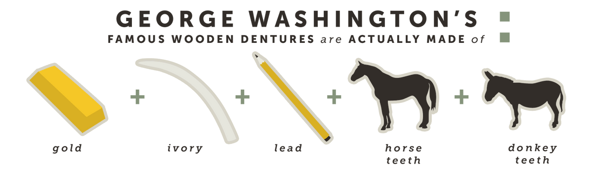 George Washington's famous wooden dentures are actually made of...
