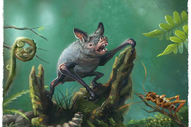 Found: A Giant Extinct Burrowing Bat - Atlas Obscura