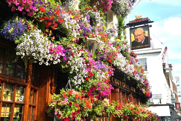 The pub’s exterior is covered in hundreds of flowers.