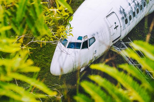 Abandoned aircraft between leaves, Bali