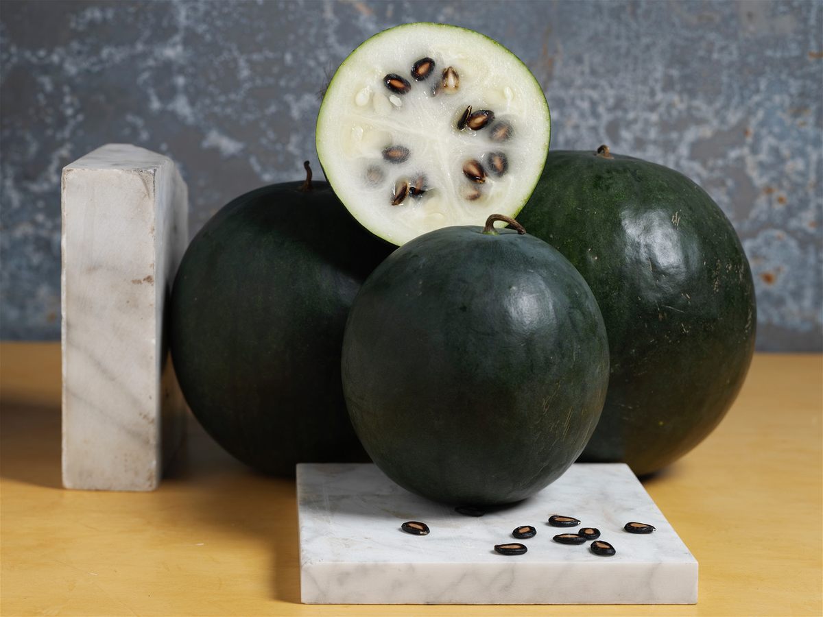 The seeds of the <em>Wanli</em> are tasty and crackable.